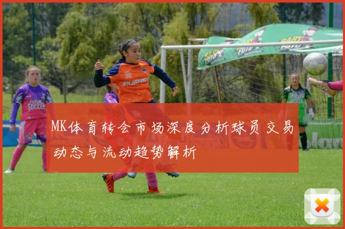 MK体育转会市场深度分析球员交易动态与流动趋势解析