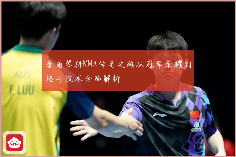 舍甫琴科MMA传奇之路从冠军荣耀到格斗技术全面解析