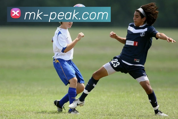 MK体育平台可靠吗真实用户体验分析与安全性全面评测指南详解与建议